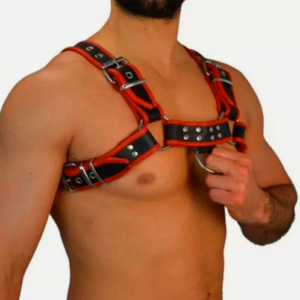 Harness black and red leather